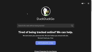 WPF C# WebView2 (MS Chromium thing)