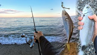 12/05/2025 🎣 Ultralight spinning in spiaggia e scogliera con gomme e micro jig - RECORD OCCHIATA 🐟 🏆 screenshot 4