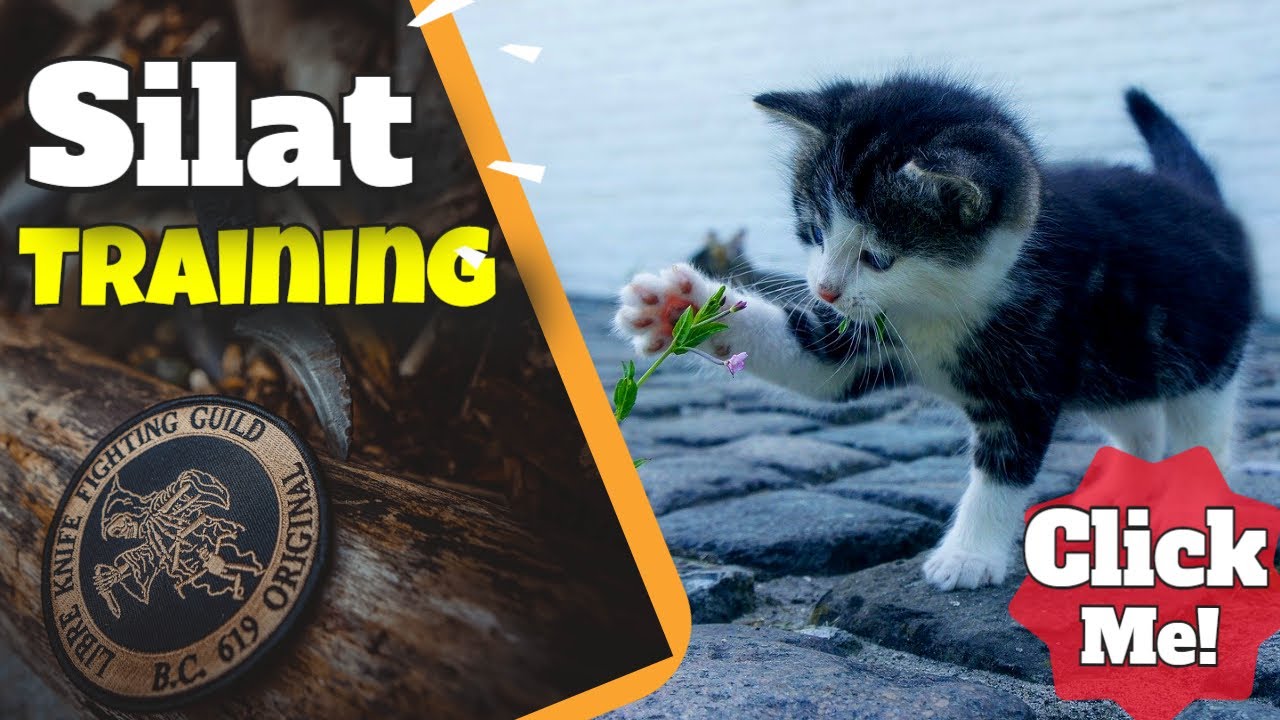 Martial Arts Conditioning Training ★★★★★ Silat Conditioning