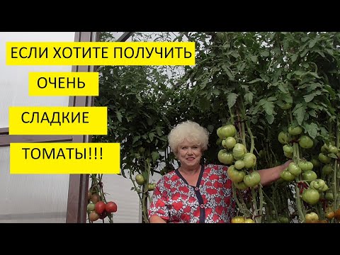 Самая важная подкормка