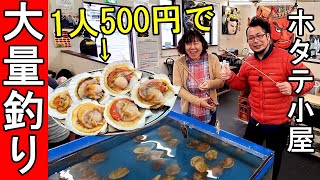 ホタテ釣りで大量ゲット【ホタテ小屋】1人500円で爆食い