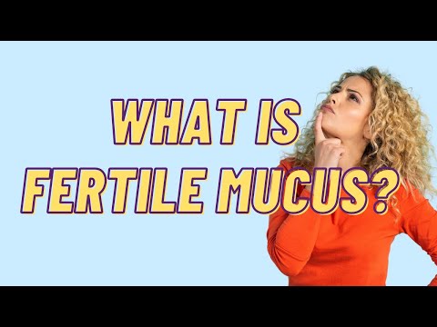 Do You Need Egg White Cervical Mucus To Conceive?