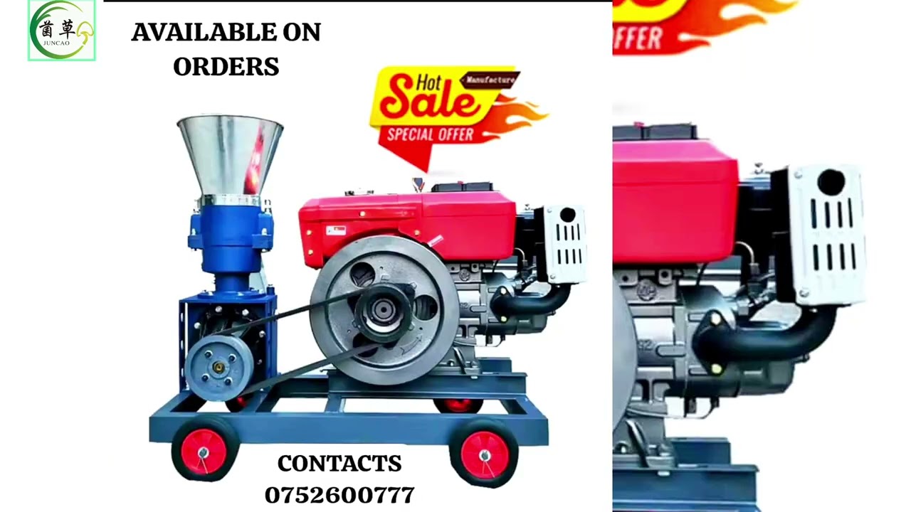 Juncao Grass. Asolution to ending shortage in fodder in livestock, Fish and Chicken Feeds.