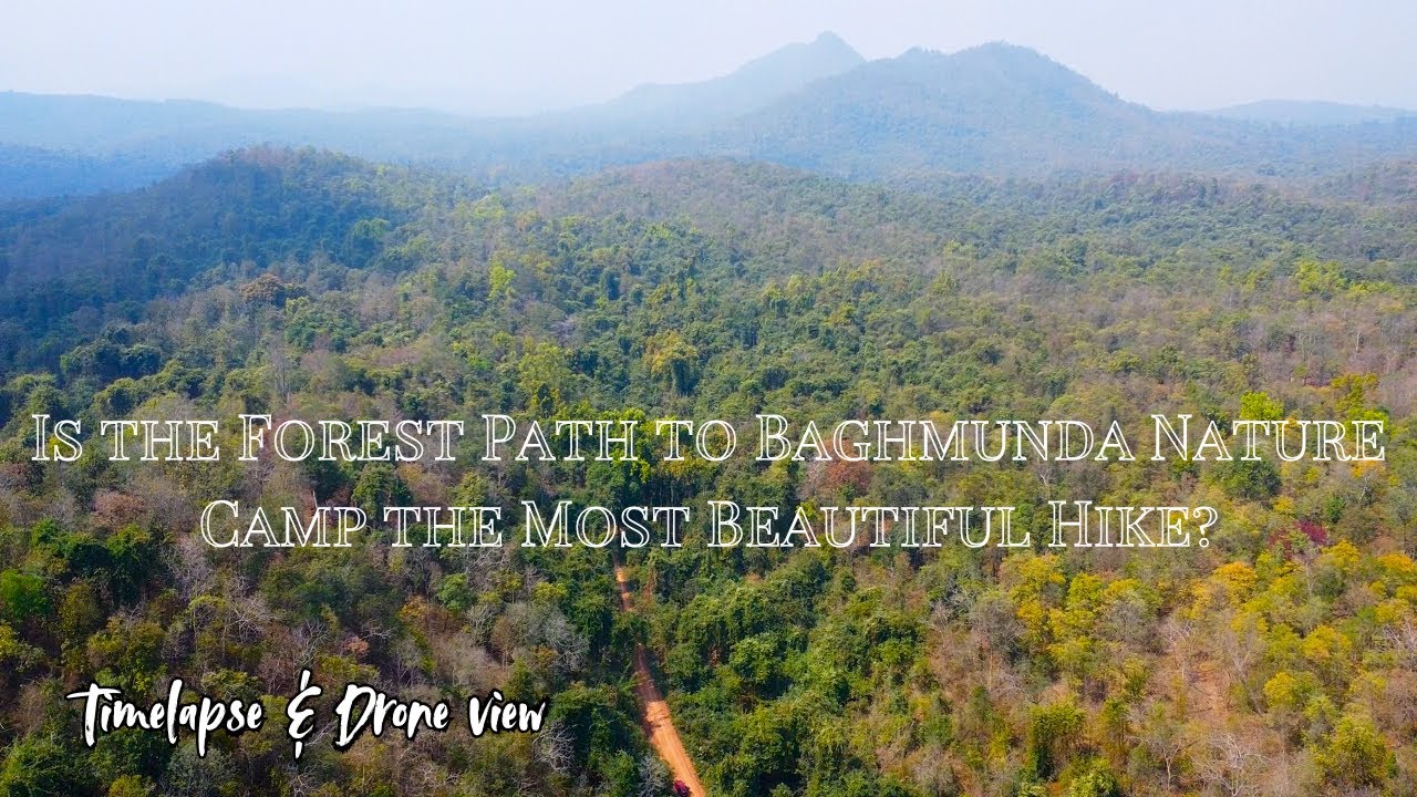 Is the Forest Path to Baghmunda Nature Camp the MOST BEAUTIFUL Hike?