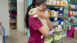 Why Bunnyfest Matters