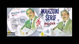 Gözlerin | Mahzuni Şerif Resimi