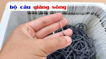 Bán bộ câu giăng cá tra, cá ngát, cá lăng trên sông giao toàn quốc