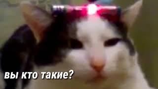 415 база ответьте, с комментариями кота