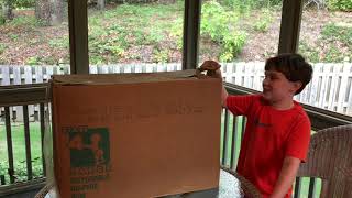 Boxes From the Attic1
