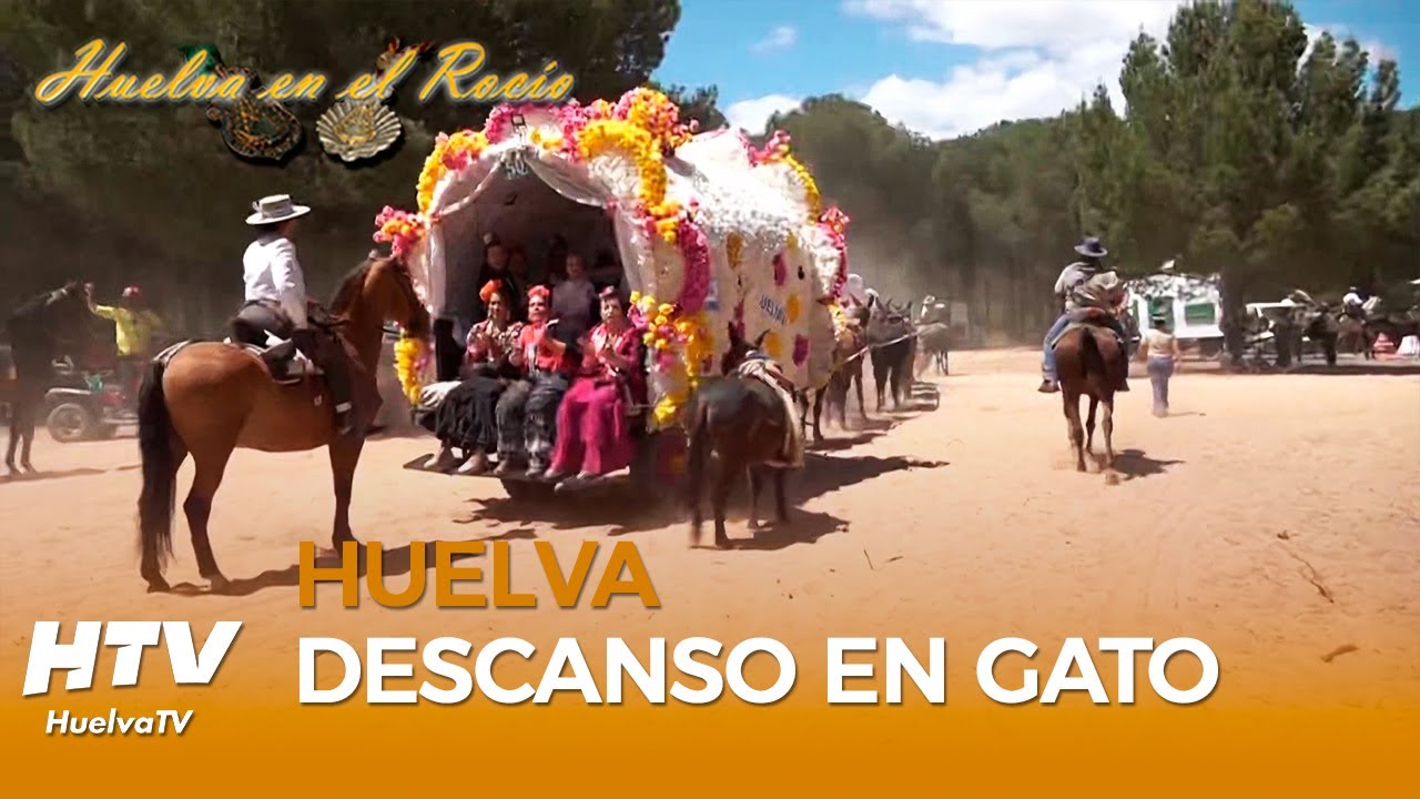 Huelva en el Rocío | La Hermandad de Huelva en Gato - Rocío 2024