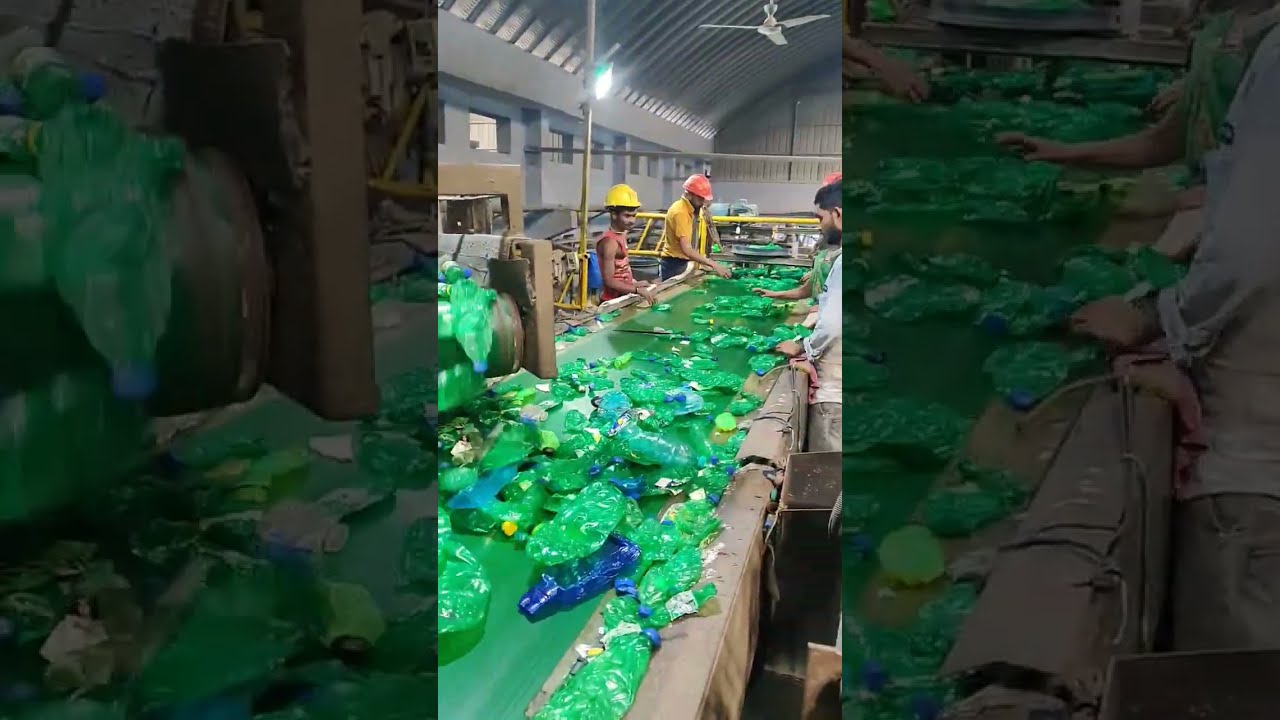  Wastesortingguyofindia Germany Recycle Recycling Flakes India Waste Plastic Bottlesorting