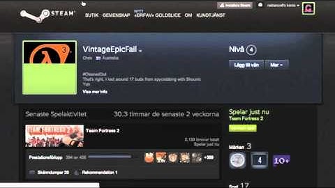 Team Fortress 2 The Basics of Trading and How I Trade