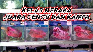 Download Lagu CENCU DAN KAMFA C JADI KELAS NERAKA DI KONTES BEKASI MP3