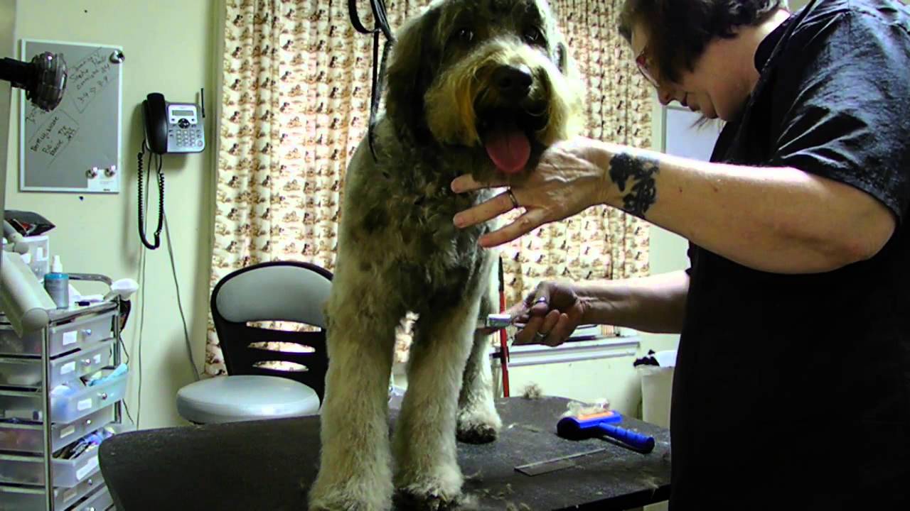 What Are Chunkers Used For In Dog Grooming