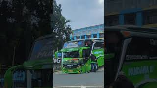 Story'wa bus pariwisata gasruk!!!! screenshot 5