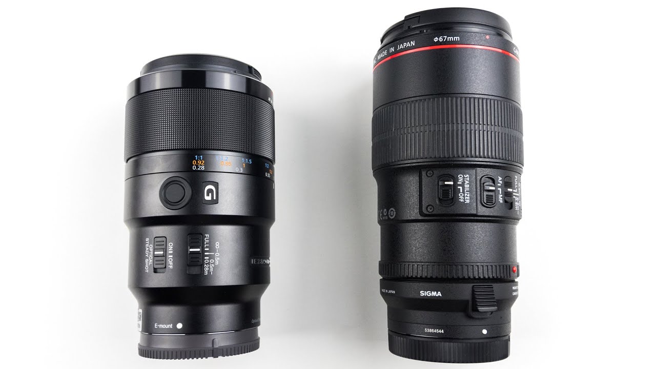 Sony 90mm f2.8 vs Canon 100mm f2.8 with MC-11 adaptor. Comparing