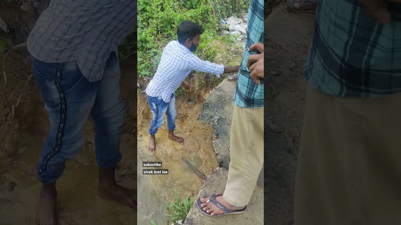 CATCHING VERAL FISH MURREL FISH 🐟  IN HAND _ TOTALLY NEW METHOD 🐠🐟🐠🐟