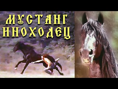 Мустанг- Иноходец Фильмы О Лошадях