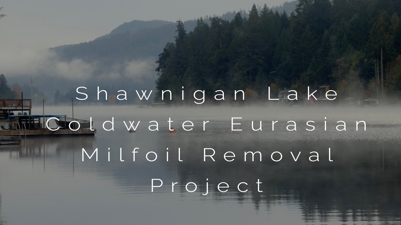 Shawnigan Milfoil Removal with Feb and Nov 2025 Updates