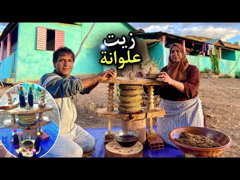 عصرنا زيت علوانة في معصرة خشبية تقليدية قديمة 