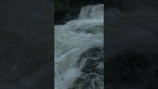 Rushing waterfalls