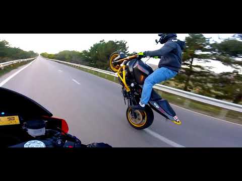 ესეც ძმაკაცური გართობა Nika Tchitanava STUNT RIDER თან ერთად. გამოიწერეთ ამ უნიჭერესი კაცის არხი ♥️