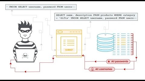 Web Security Academy -- SQL Lab Çözümleri Bölüm- 1