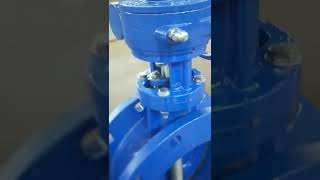 Double Offset Flanged Butterfly Valve,PN16