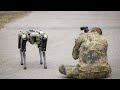 Робот-собака, показанный на форуме "Армия-2022", похож на зарубежные аналоги - ВИДЕО