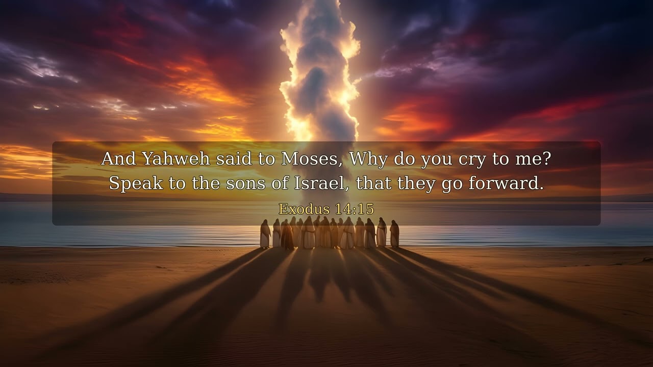 Exodus Chapter 14 - UPDV Bible in 4K