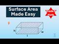 Surface Area of 3D Shapes Explained  Formulas for All Major Solids