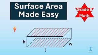 Surface Area of 3D Shapes Explained  Formulas for All Major Solids