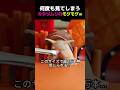 【サメより歯が多いカタツムリの正体は…🌸】