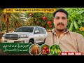 Work in Date Farm Saudi Arabia 🌴 | Dates, Pomegranates & Farm Life Opportunity