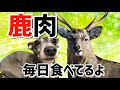 【鹿肉レビュー】毎日の食事を変えたら毛がフワフワになったよ 犬ごはんを考える 【イタグレ夫婦 マルコとアンナ】