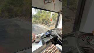 Desuri naal me Rani🔥 #youtube #rajasthani #driver #travel #life #subscribemychannel #trendingshort