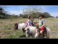 CRIANÇA ANDANDO DE CAVALO, MARI GANHOU UMA SELA NOVA, NOSSAS PÔNEI ESTRELA E PÉROLA.