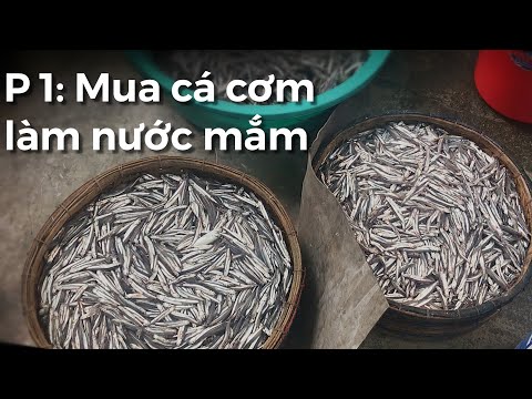 Video Part 1 - Cách muối cá để lấy nước mắm truyền thống -... - youtube