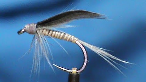Fly Tying a Blue Quill Wet with Jim Misiura