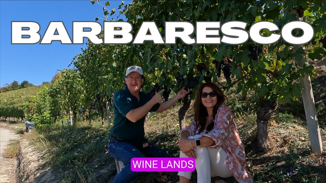 BARBARESCO & NEIVE🍷TOP ITALIAN WINE towns ITALY Piemonte Cuneo (wine tasting tour)