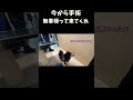 今から手術無事帰って来てくれ