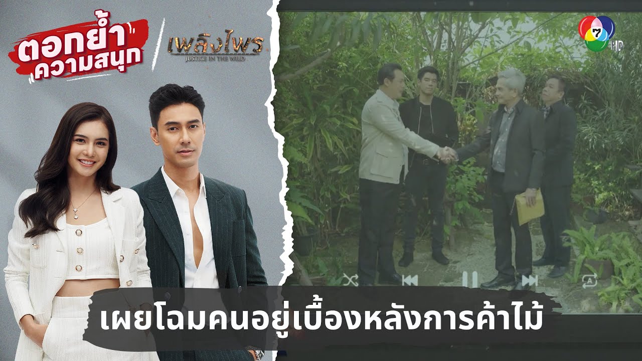 เผยโฉมหน้าคนอยู่เบื้องหลังการค้าไม้ | ตอกย้ำความสนุก เพลิงไพร EP.2