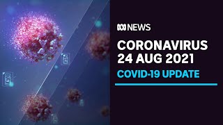 COVID-19 update 24 Aug - Melbourne concerns, Sydney vaccinations, and Doherty statement | ABC News screenshot 4