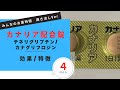 【糖尿病】カナリア配合錠/テネリグリプチン、カナグリフロジンの解説【一般の方向け】【約4分で分かる】【みんなのお薬時間】【聞き流し】