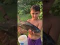Pesca de tilapia #pesca #fishing #tilapia