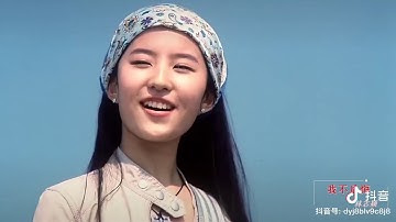 Anh Không Hối Hận - Lâm Chí Dĩnh