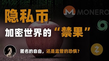 隐私币，加密世界的“禁果” | 匿名的自由，还是监管的恐惧？| 门罗币 | Zcash | Tornado Cash 以太坊混币器