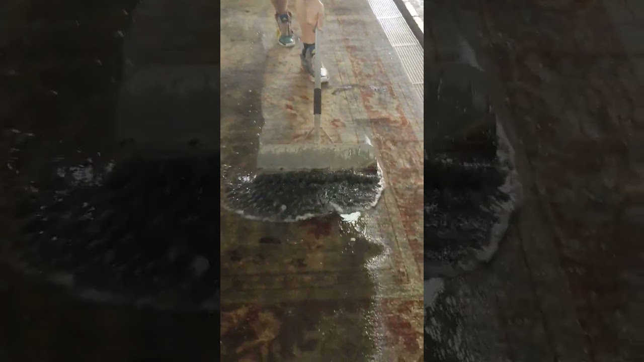 Esse tapete Persa tava sujo!! 