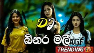 බිනර මලී |binaramali song |binaramali song dj remix